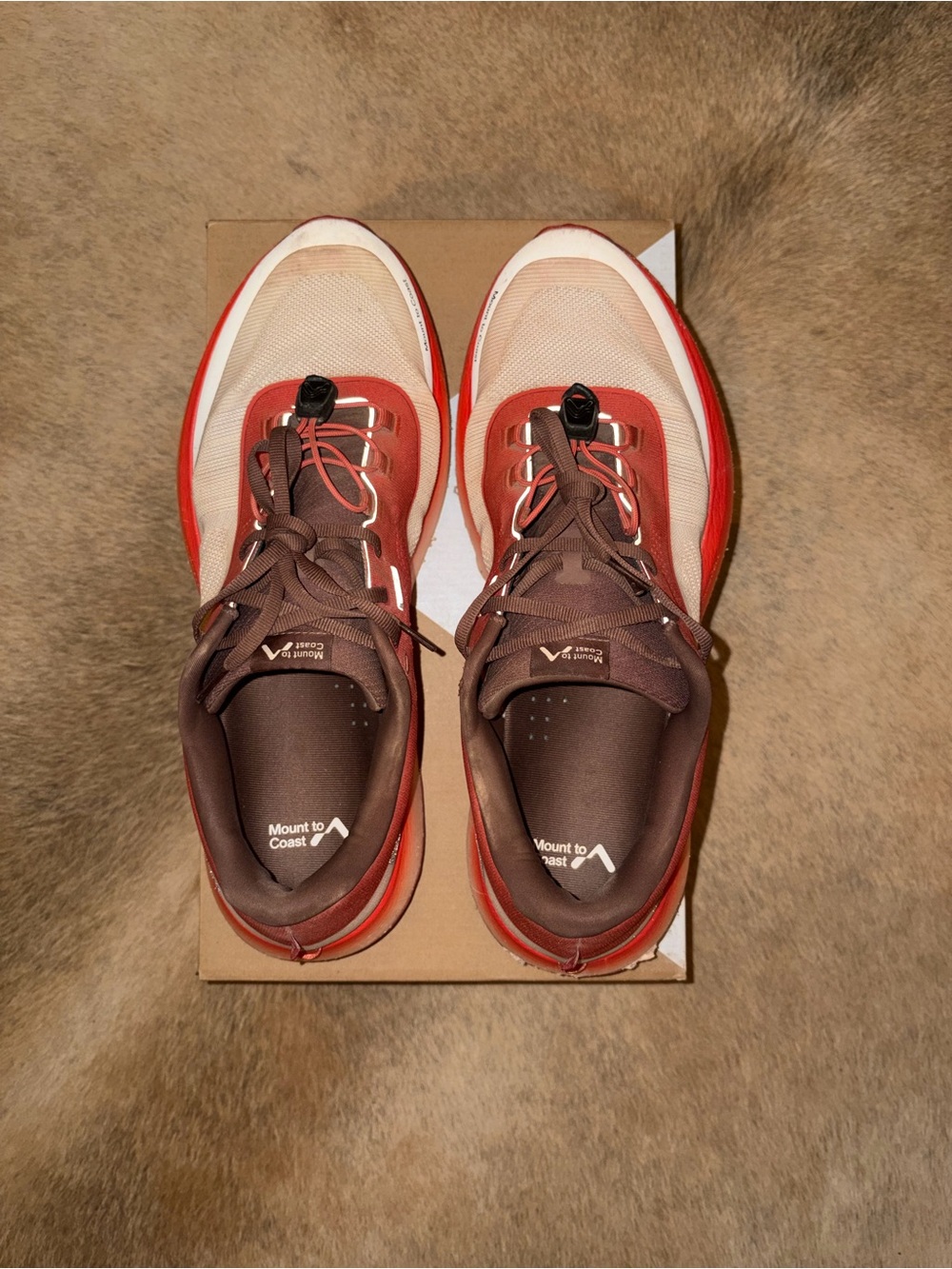 Mount to Coast - H1 (Men’s, 13) | USED